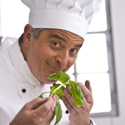 Ohne entsprechende Pflege geht Basilikum nach dem Kauf oft recht schnell ein. 