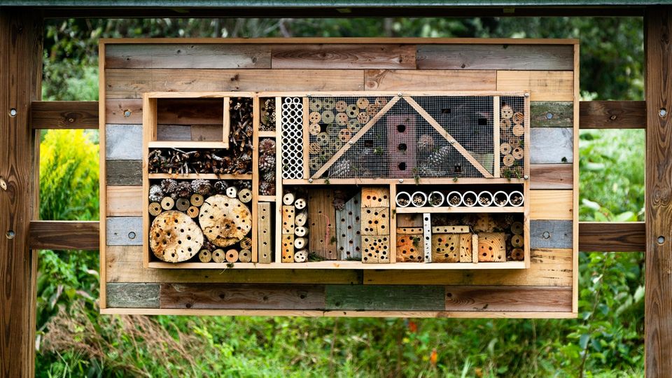 Ein Insektenhotel bietet Bienen und anderen Lebewesen neuen Lebensraum