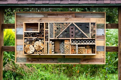 Ein Insektenhotel bietet Bienen und anderen Lebewesen neuen Lebensraum