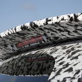 Ein Dachspoiler sorgt für Stabilität