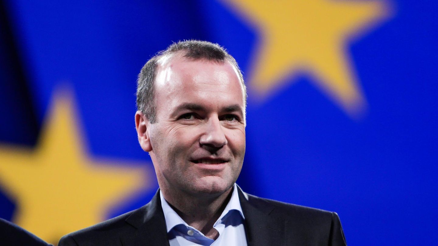 Manfred Weber (CDU/CSU) Manfred Weber (CDU/CSU)