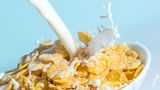Sie essen nur Cornflakes mit Milch  Viele Cerealien enthalten zu viel Zucker. Der lässt den Blutzucker schnell ansteigen, regt die Insulinproduktion an und dadurch sinkt der Blutzucker wieder und man kriegt Hunger. Das ist kontraproduktiv. Achten Sie auch hier auf die Balance. Wenn es nicht anders geht, geben Sie Früchte zu ihren Cerealien dazu.