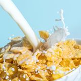 Sie essen nur Cornflakes mit Milch  Viele Cerealien enthalten zu viel Zucker. Der lässt den Blutzucker schnell ansteigen, regt die Insulinproduktion an und dadurch sinkt der Blutzucker wieder und man kriegt Hunger. Das ist kontraproduktiv. Achten Sie auch hier auf die Balance. Wenn es nicht anders geht, geben Sie Früchte zu ihren Cerealien dazu.