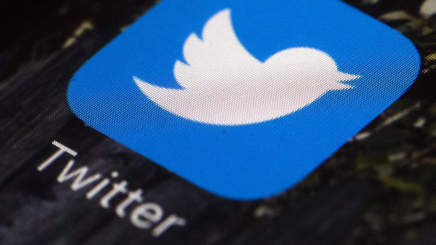 Twitter - AfD - Fake-Profile