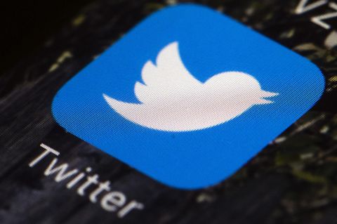 Twitter - AfD - Fake-Profile