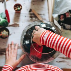Baue dein eigenes ewiges Terrarium und pflanze einen Garten im Glas 