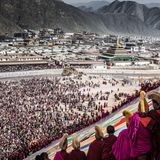 China / Bildnis  Mönche des Labrang-Klosters entrollen zum tibetischen Neujahr einen 20 mal 30 Meter großen Teppich mit dem Antlitz Buddhas. Die eingerollte "Thangka" wurde zuvor durch die Straßen des Klosterkomplexes getragen. Dabei rangeln Gläubige mit Wächtern, um die Stoffbahn einmal berühren zu können.