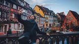 Nachhaltigkeit und Reisen: Von Köln ins Elsass