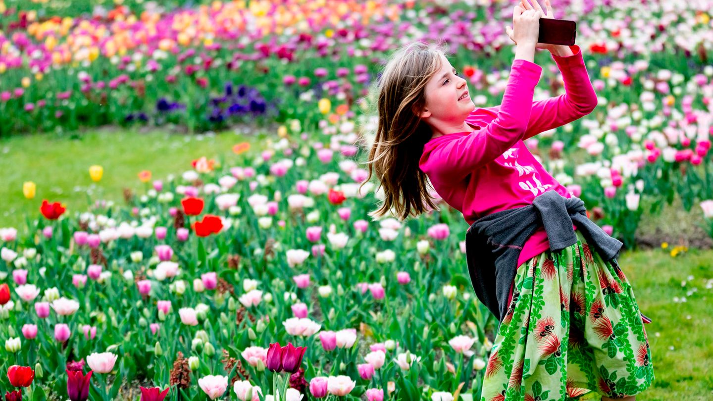 Wissenstest Kennen Sie den Frühling? STERN.de