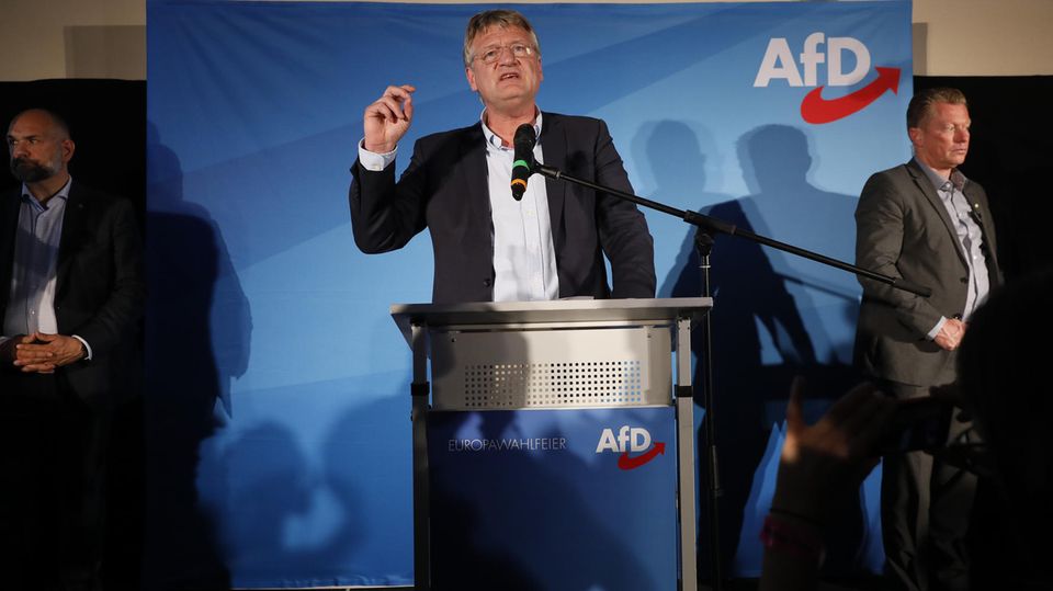 Europawahl: Jörg Meuthen äußert sich