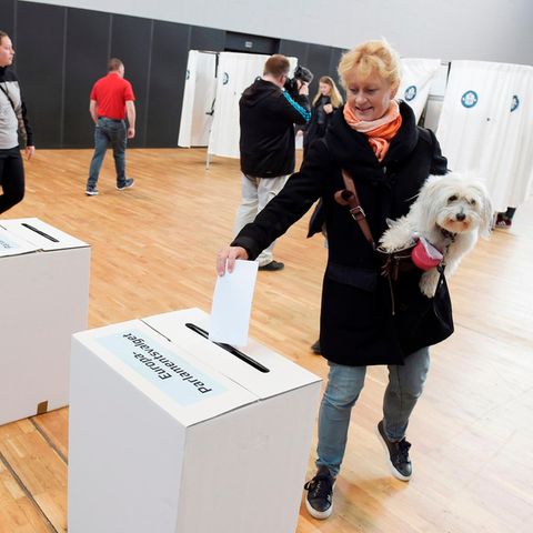 Eine Wählerin wirft ihren Stimmzettel in Aarhus, Dänemark, in die Wahlurne