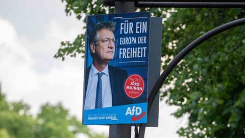 In Sachsen und Brandenburg ist die AfD bei der Europawahl mit Spitzenkandidat Jörg Meuthen stärket Kraft geworden 