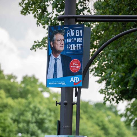 In Sachsen und Brandenburg ist die AfD bei der Europawahl mit Spitzenkandidat Jörg Meuthen stärket Kraft geworden 