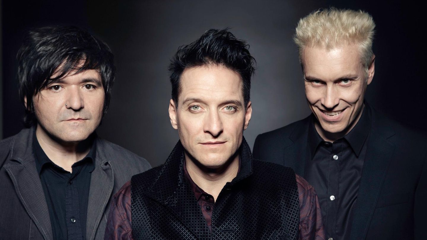Die Ärzte