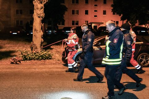 Dutzende Beamte waren am Wochenende im Einsatz, um nach dem sechsjährigen Mädchen zu suchen