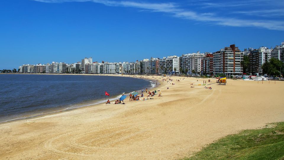 Uruguay: Die Playa de los Pocitos ist eine der schönsten Buchten Montevideos Die Playa de los Pocitos ist eine der schönsten Buchten Montevideos
