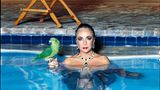 Elizabeth Taylor fotografiert von Helmut Newton