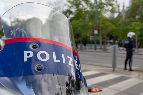 Die Polizei in Wien hat möglicherweise einen Prügel-Skandal aufzuklären (Symbolbild) 