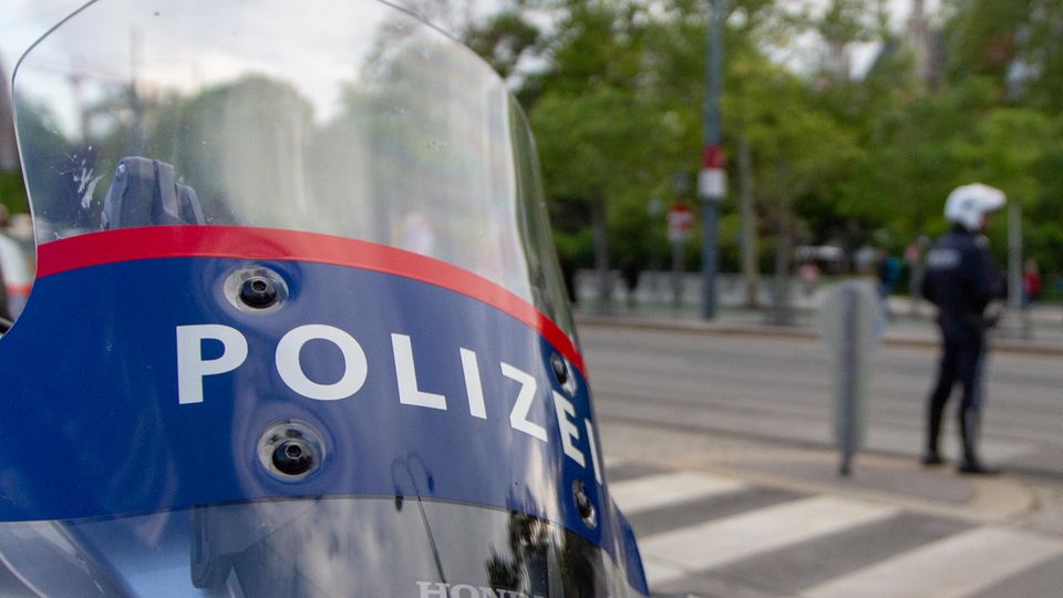 Die Polizei in Wien hat möglicherweise einen Prügel-Skandal aufzuklären (Symbolbild) 