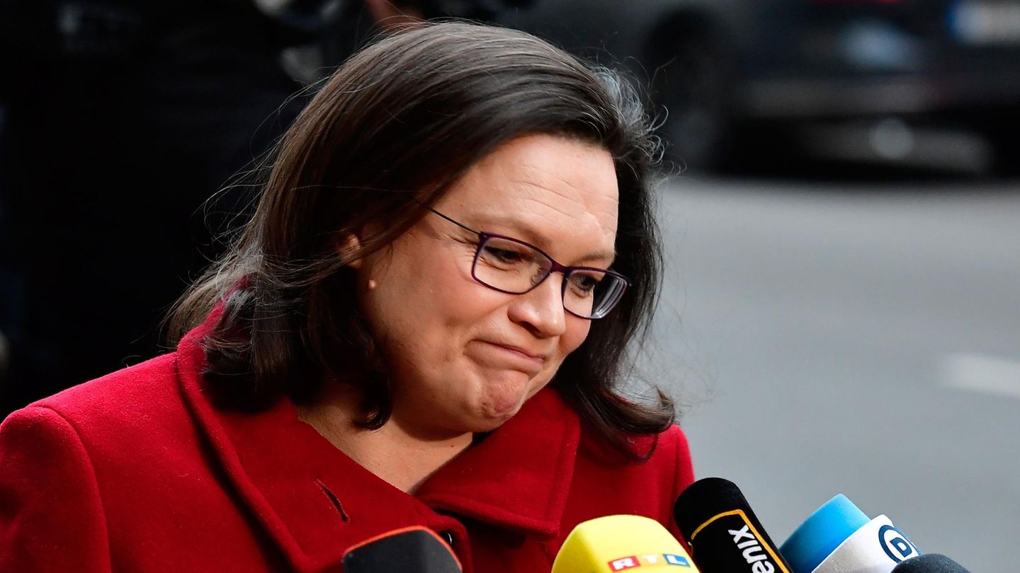 Andrea Nahles, SPD