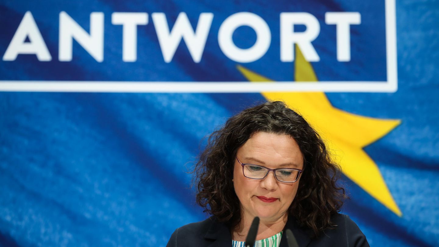 Andrea Nahles - Rücktritt - SPD - GroKo