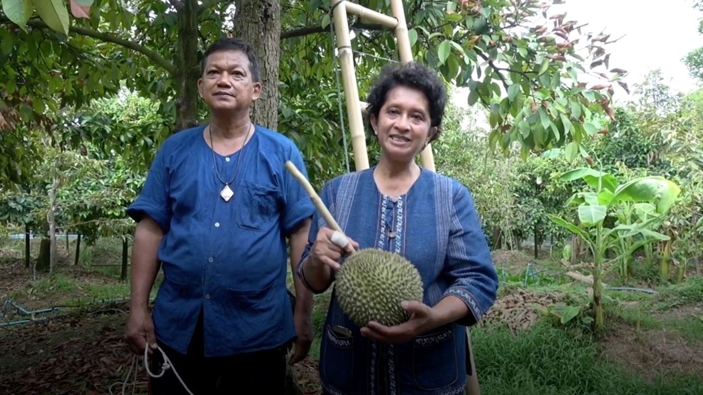 Stinkfrucht Lecker Aber Teuer Diese Durian Kostet 28 000 Euro Stern De 
