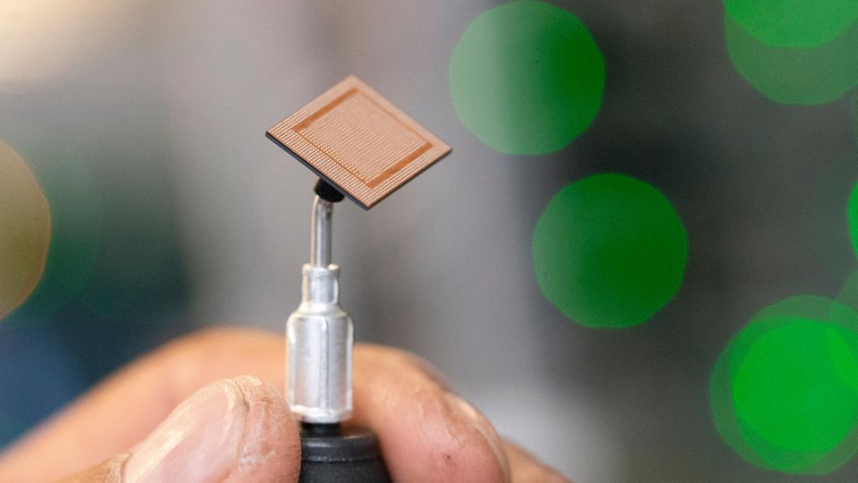 Die Prozessoren sind mitunter nur daumennagelgroß Die Prozessoren sind mitunter nur daumennagelgroß