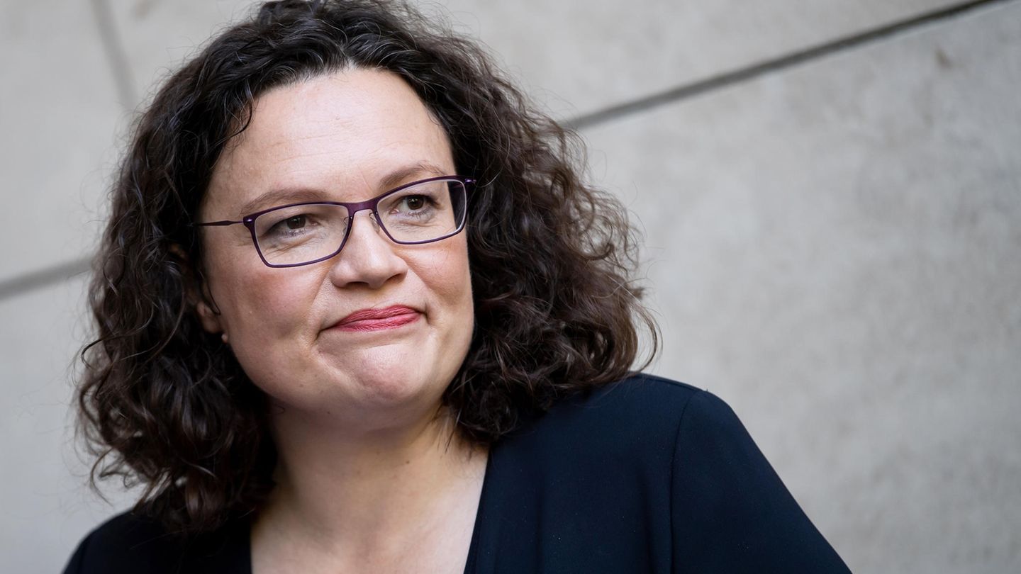 Nach dem Rücktritt von Andrea Nahles wollen  39 Prozent der Deutschen eine möglichst schnelle Neuwahl 