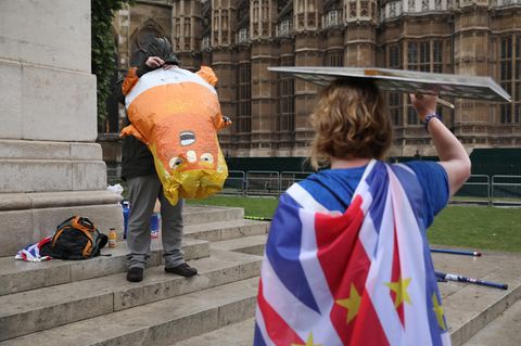 Donald Trump Protest