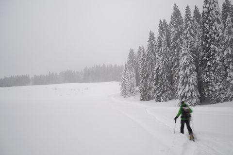 Abgerutscht: Zwei deutsche Wanderer in Österreich vermisst