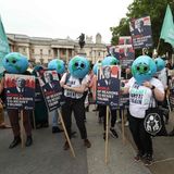 "Mach den Planeten wieder groß", fordern dies Demonstranten in Anlehnung an Trumps Motto: "Make America Great Again".