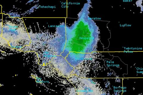 Dieses Bild macht Meteorologen in Kalifornien stutzig: Eine "Blühe" von Marienkäfern erscheint auf dem Radar.