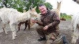 Bauer sucht Frau - Die neuen Bauern und eine Hochzeit