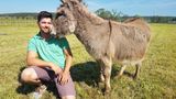 Bauer sucht Frau - Die neuen Bauern und eine Hochzeit