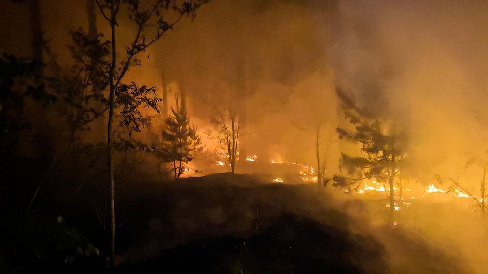 Der Waldbrand bei Jüterbog am Dienstag