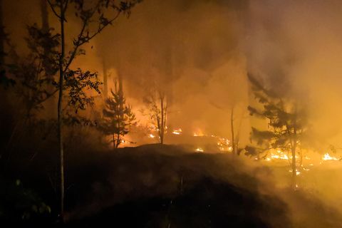 Der Waldbrand bei Jüterbog am Dienstag