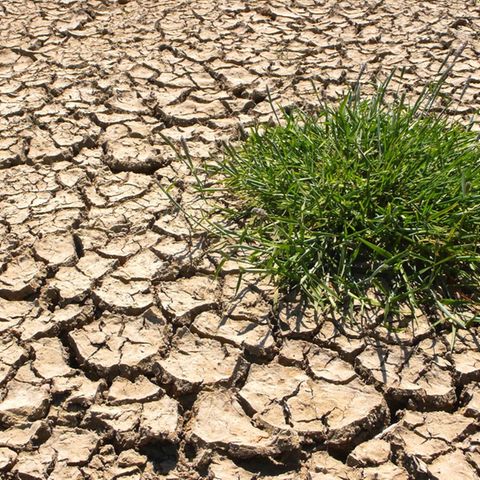 Der Klimawandel bereitet den Deutschen große Sorgen 
