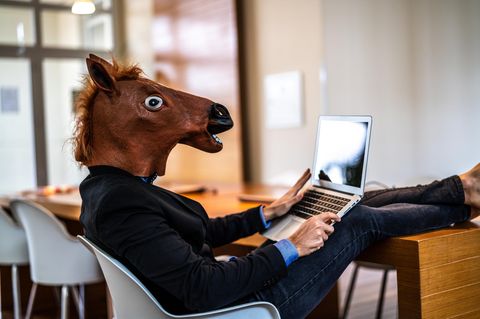 Mann mit Pferdemaske vor Laptop
