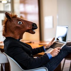 Mann mit Pferdemaske vor Laptop