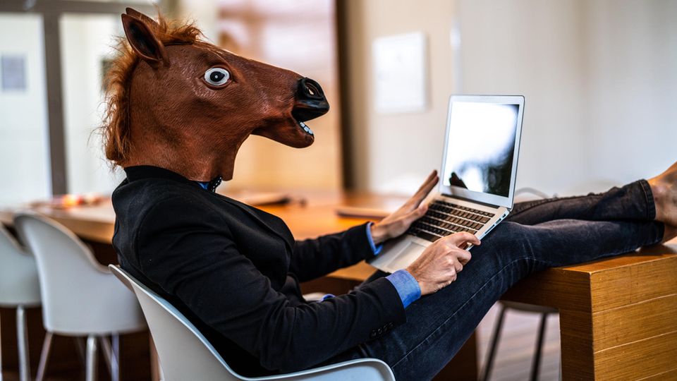 Mann mit Pferdemaske vor Laptop