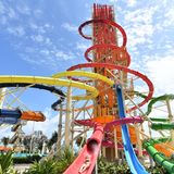 Ein weiterer Superlativ: der Daredevil's Peak, die höchste Wasserrutsche Nordamerikas. Insgesamt sieben Rutschen stehen zur Auswahl – gegen einen Aufpreis für den Tagespass im Wasserpark.