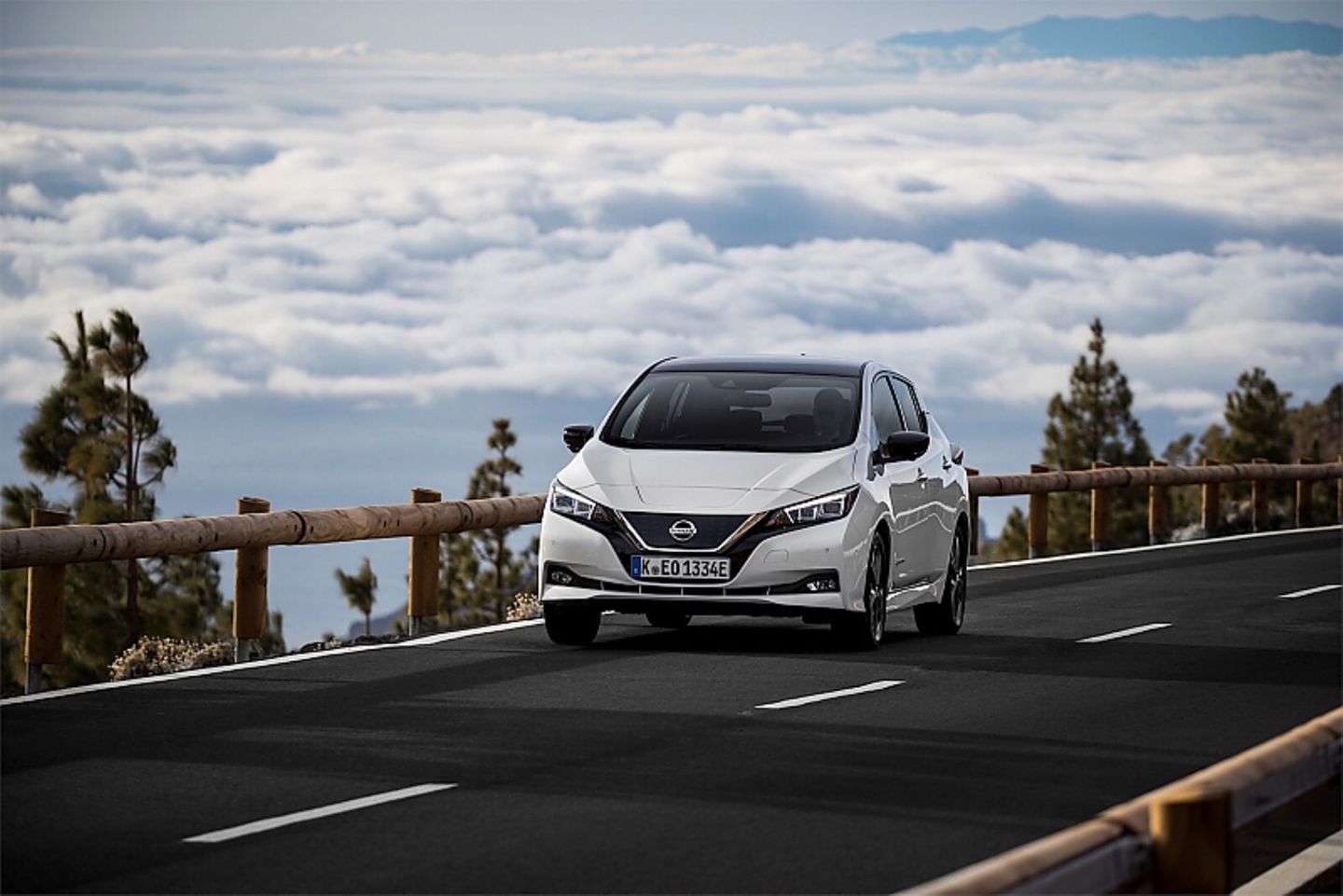 Nissan Leaf 2018