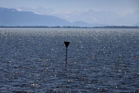 Der Bodensee glitzert in der Sonne - hier von Bayern aus gesehen