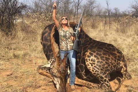 "Sie war köstlich": "Sie war köstlich": Giraffen-Jägerin Tessa Talley provoziert erneut die Welt