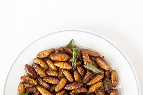Niederlande erwarten Boom bei Insekten-Produktion