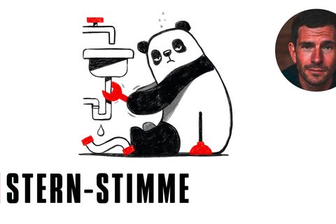 M. Beisenherz: Sorry, ich bin privat hier: Der Panda aus Herne