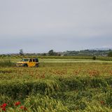 Jeep Wrangler 2.0 T-GDI