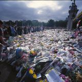 Fotografiert von Volker Krämer: Blumenmeer vor dem Buckingham Palace