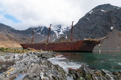 Das Ende eine grausamen Ära: Die Bayard ist eines von Hunderten Segelschiffen, die bis Mitte des 19. Jahrhunderts Jagd auf Wale und Robben gemacht haben. Das Wrack liegt seit 1911 im Ocean Harbour auf Südgeorgien.