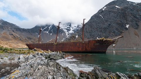 Das Ende eine grausamen Ära: Die Bayard ist eines von Hunderten Segelschiffen, die bis Mitte des 19. Jahrhunderts Jagd auf Wale und Robben gemacht haben. Das Wrack liegt seit 1911 im Ocean Harbour auf Südgeorgien.